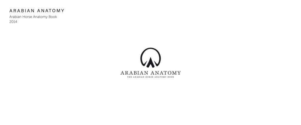 Arabian Horse Anatomy